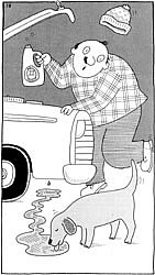 Preventing Pet Antifreeze Poisoning Image